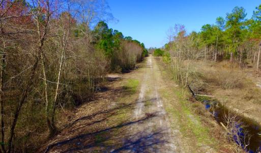 Photo of UNDER CONTRACT!  212 Acre Riverfront Hunting Land for Sale in Duplin County NC!
