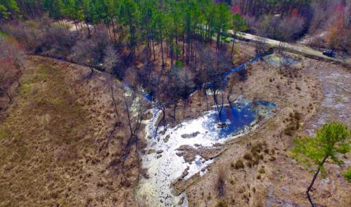 Photo of UNDER CONTRACT!  212 Acre Riverfront Hunting Land for Sale in Duplin County NC!