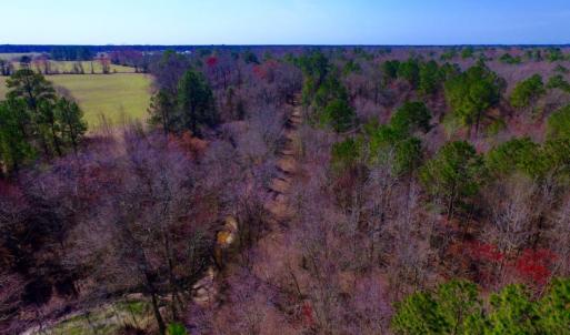 Photo of UNDER CONTRACT!  212 Acre Riverfront Hunting Land for Sale in Duplin County NC!