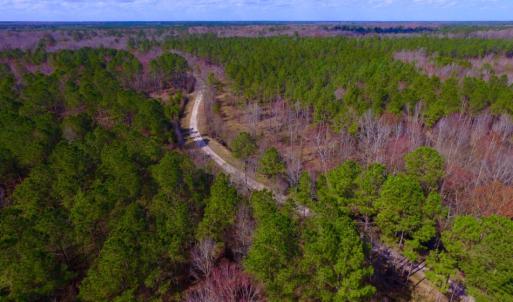 Photo of UNDER CONTRACT!  212 Acre Riverfront Hunting Land for Sale in Duplin County NC!