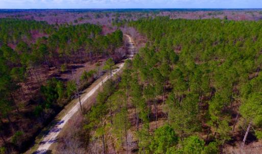 Photo of UNDER CONTRACT!  212 Acre Riverfront Hunting Land for Sale in Duplin County NC!