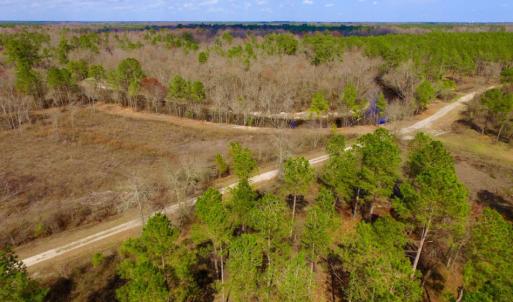 Photo of UNDER CONTRACT!  212 Acre Riverfront Hunting Land for Sale in Duplin County NC!