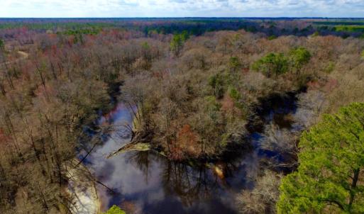 Photo of UNDER CONTRACT!  212 Acre Riverfront Hunting Land for Sale in Duplin County NC!