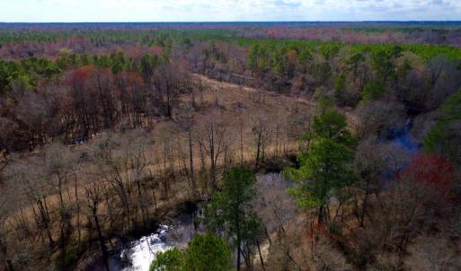 Photo of UNDER CONTRACT!  212 Acre Riverfront Hunting Land for Sale in Duplin County NC!