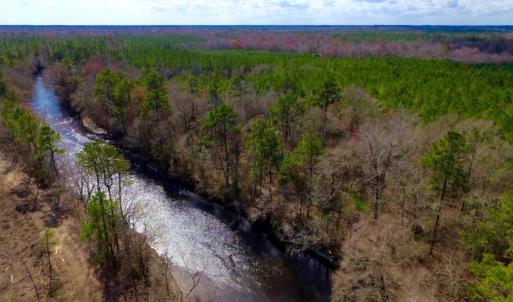 Photo of UNDER CONTRACT!  212 Acre Riverfront Hunting Land for Sale in Duplin County NC!