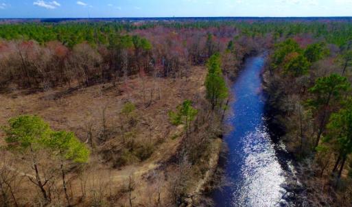 Photo of UNDER CONTRACT!  212 Acre Riverfront Hunting Land for Sale in Duplin County NC!