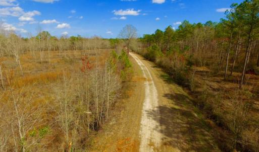 Photo of UNDER CONTRACT!  212 Acre Riverfront Hunting Land for Sale in Duplin County NC!
