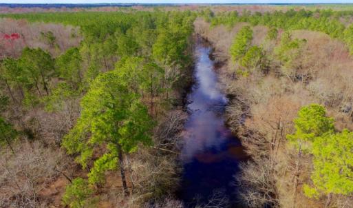 Photo of UNDER CONTRACT!  212 Acre Riverfront Hunting Land for Sale in Duplin County NC!