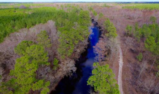 Photo of UNDER CONTRACT!  212 Acre Riverfront Hunting Land for Sale in Duplin County NC!