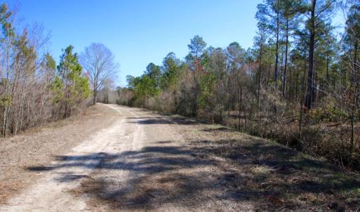 Photo of UNDER CONTRACT!  212 Acre Riverfront Hunting Land for Sale in Duplin County NC!