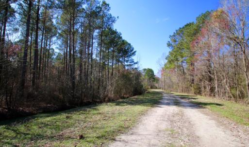 Photo of UNDER CONTRACT!  212 Acre Riverfront Hunting Land for Sale in Duplin County NC!