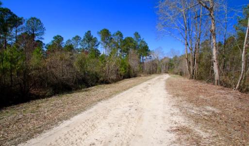 Photo of UNDER CONTRACT!  212 Acre Riverfront Hunting Land for Sale in Duplin County NC!
