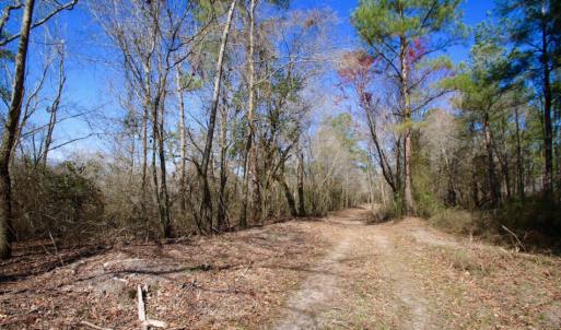 Photo of UNDER CONTRACT!  212 Acre Riverfront Hunting Land for Sale in Duplin County NC!
