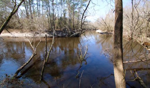 Photo of UNDER CONTRACT!  212 Acre Riverfront Hunting Land for Sale in Duplin County NC!