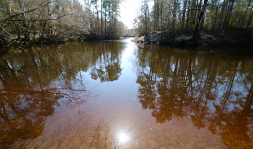 Photo of UNDER CONTRACT!  212 Acre Riverfront Hunting Land for Sale in Duplin County NC!