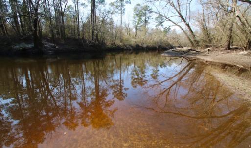 Photo of UNDER CONTRACT!  212 Acre Riverfront Hunting Land for Sale in Duplin County NC!