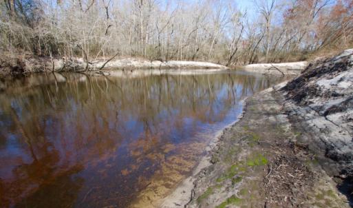 Photo of UNDER CONTRACT!  212 Acre Riverfront Hunting Land for Sale in Duplin County NC!