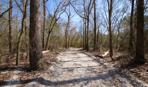 Photo of UNDER CONTRACT!  212 Acre Riverfront Hunting Land for Sale in Duplin County NC!