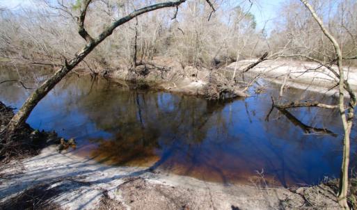 Photo of UNDER CONTRACT!  212 Acre Riverfront Hunting Land for Sale in Duplin County NC!