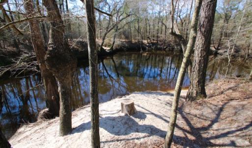 Photo of UNDER CONTRACT!  212 Acre Riverfront Hunting Land for Sale in Duplin County NC!