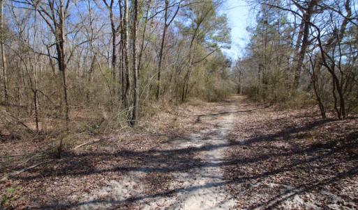 Photo of UNDER CONTRACT!  212 Acre Riverfront Hunting Land for Sale in Duplin County NC!