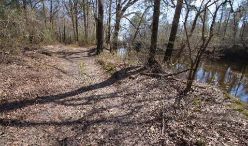 Photo of UNDER CONTRACT!  212 Acre Riverfront Hunting Land for Sale in Duplin County NC!