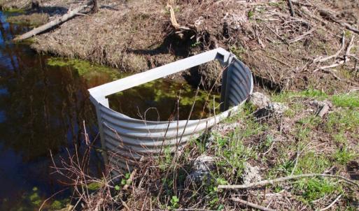 Photo of UNDER CONTRACT!  212 Acre Riverfront Hunting Land for Sale in Duplin County NC!
