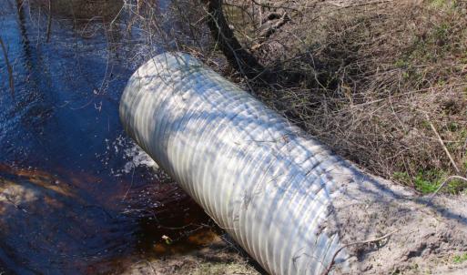 Photo of UNDER CONTRACT!  212 Acre Riverfront Hunting Land for Sale in Duplin County NC!