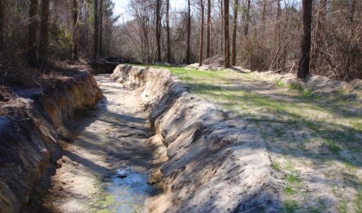 Photo of UNDER CONTRACT!  212 Acre Riverfront Hunting Land for Sale in Duplin County NC!
