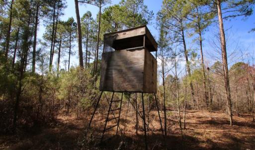 Photo of UNDER CONTRACT!  212 Acre Riverfront Hunting Land for Sale in Duplin County NC!