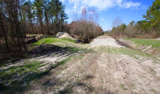 Photo of UNDER CONTRACT!  212 Acre Riverfront Hunting Land for Sale in Duplin County NC!