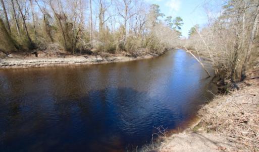 Photo of UNDER CONTRACT!  212 Acre Riverfront Hunting Land for Sale in Duplin County NC!