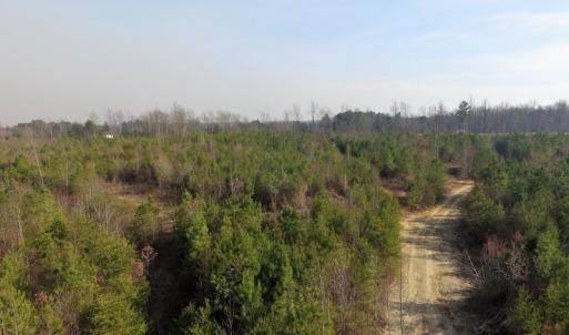 Photo of UNDER CONTRACT!  22.65 Acres of Recreational Land For Sale in Nottoway County VA!