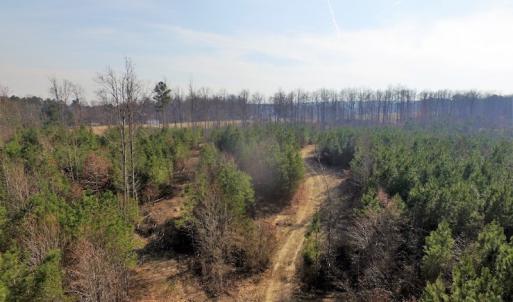 Photo of UNDER CONTRACT!  22.65 Acres of Recreational Land For Sale in Nottoway County VA!