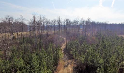 Photo of UNDER CONTRACT!  22.65 Acres of Recreational Land For Sale in Nottoway County VA!