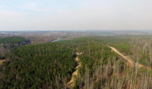 Photo of UNDER CONTRACT!  22.65 Acres of Recreational Land For Sale in Nottoway County VA!
