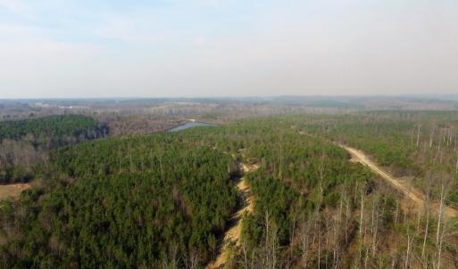 Photo of UNDER CONTRACT!  22.65 Acres of Recreational Land For Sale in Nottoway County VA!