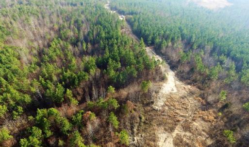 Photo of UNDER CONTRACT!  22.65 Acres of Recreational Land For Sale in Nottoway County VA!