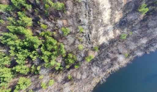Photo of UNDER CONTRACT!  22.65 Acres of Recreational Land For Sale in Nottoway County VA!