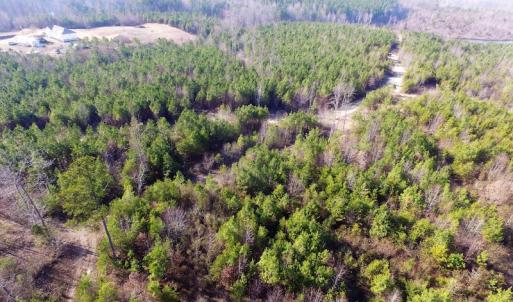 Photo of UNDER CONTRACT!  22.65 Acres of Recreational Land For Sale in Nottoway County VA!