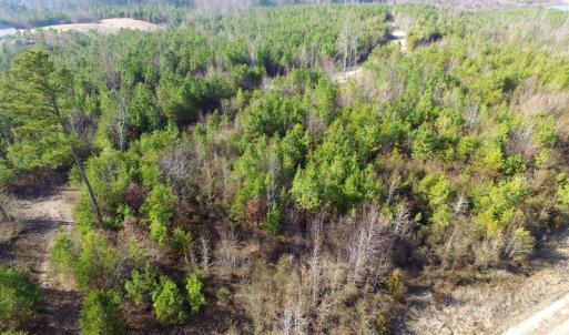 Photo of UNDER CONTRACT!  22.65 Acres of Recreational Land For Sale in Nottoway County VA!
