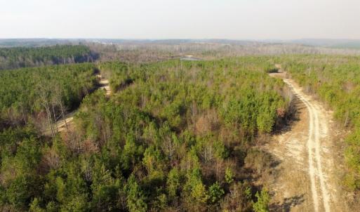 Photo of UNDER CONTRACT!  22.65 Acres of Recreational Land For Sale in Nottoway County VA!