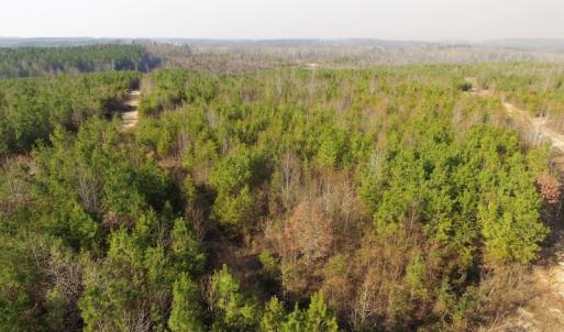 Photo of UNDER CONTRACT!  22.65 Acres of Recreational Land For Sale in Nottoway County VA!