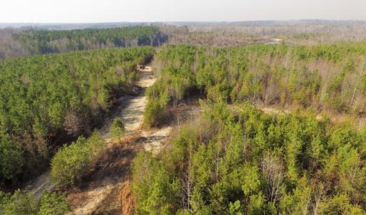 Photo of UNDER CONTRACT!  22.65 Acres of Recreational Land For Sale in Nottoway County VA!