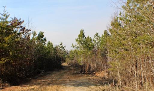 Photo of UNDER CONTRACT!  22.65 Acres of Recreational Land For Sale in Nottoway County VA!