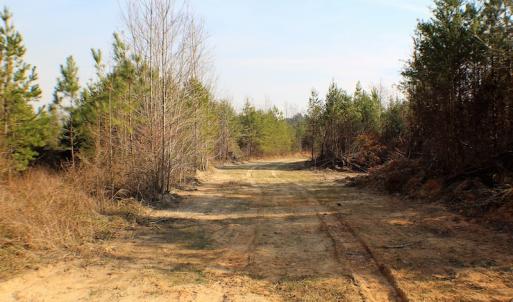 Photo of UNDER CONTRACT!  22.65 Acres of Recreational Land For Sale in Nottoway County VA!