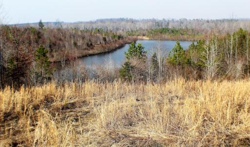 Photo of UNDER CONTRACT!  22.65 Acres of Recreational Land For Sale in Nottoway County VA!
