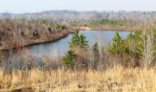 Photo of UNDER CONTRACT!  22.65 Acres of Recreational Land For Sale in Nottoway County VA!