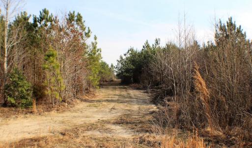 Photo of UNDER CONTRACT!  22.65 Acres of Recreational Land For Sale in Nottoway County VA!