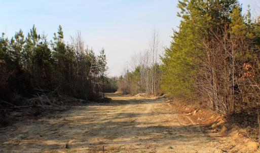 Photo of UNDER CONTRACT!  22.65 Acres of Recreational Land For Sale in Nottoway County VA!